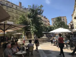 Place Puget (© OT Toulon)