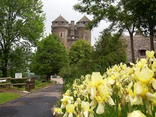 Tournemire - Führer für Tourismus, Urlaub & Wochenende im Cantal