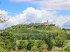 Vue sur Tournon-d'Agenais