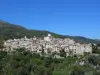 Tourrettes-sur-Loup - Führer für Tourismus, Urlaub & Wochenende in den Alpes-Maritimes
