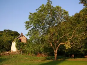 Le quartier du Hamel