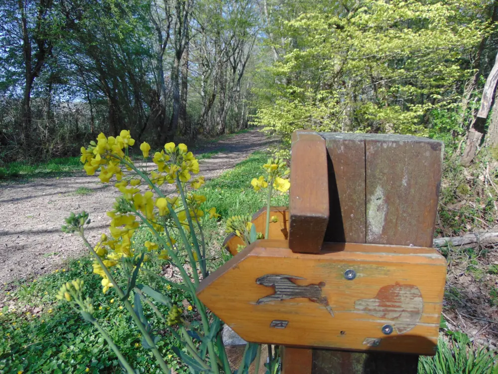 Bilder TouryLurcy Tourismus, Urlaub & Wochenende