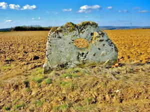 Dolmen nommé pierre percée (© Jean Espirat)
