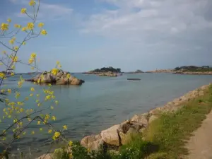 Plage Quo Vadis à marée haute