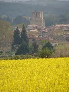 Champs de colza sur fond de toile de la cité médiévale