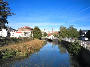 Bras de Seine