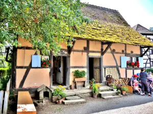 Maison provenant de Waltenheim (© J.E)