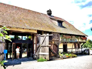 Maison des goûts et des couleurs (© J.E)