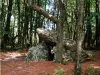 Piedra cubierta, dolmen