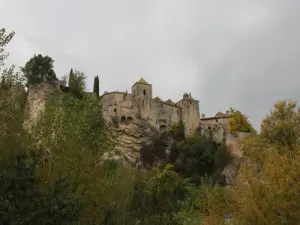 Kasteel van Vaison-la-Romaine