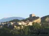 Château des Comtes de Toulouse - Monument à Vaison-la-Romaine