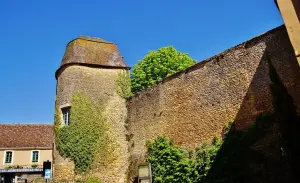 Castillo de Sainte-Alvère