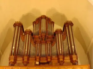 Organ