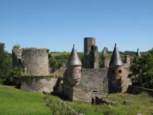 Saint-Aubin-de-Luigné - Château de la Haute Guerche