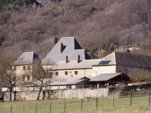 Il Castello (privato) e stud