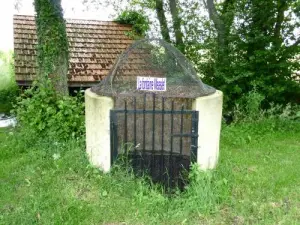 Fontaine Measlet