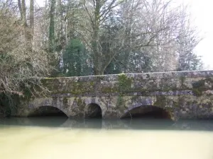 Chambon-sur-Cisse - Il vecchio ponte sul Cisse
