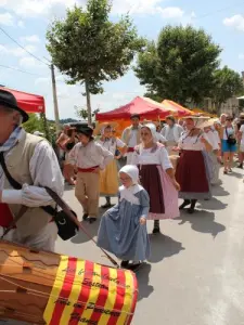 Fiesta de la lavanda