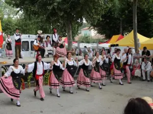 Fiesta de la lavanda