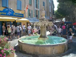 De fontein van Valensole