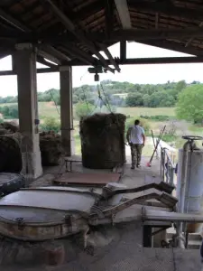 Destilería de lavanda