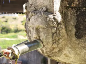 Masque représentant l'été - Fontaine du Tholonet (© J.E)