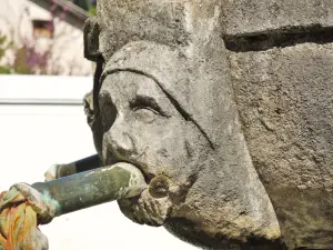 Wintermaske - Tholonet-Brunnen (© J.E)