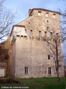 Замок Vallerois-le-Bois