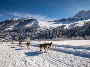 Valmorel en La Grande Odyssée partners op 13 januari 2022!