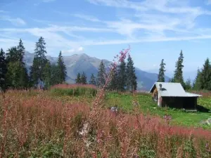 Zomerwandeling in de hoogten van Valmorel