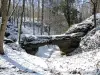 Sarrazin-brug, stroomopwaarts gezien, aan het einde van de winter (© J.E)