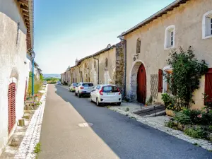 Grande rue de Vaudémont (© J.E)