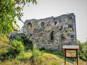 Tour de Brunehaut, face ouest (© J.E)