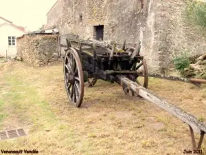 Tout ce que la Vendée peut receler de trésors