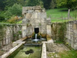 Fountain Venise