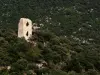 Castillo Ratier de los siglos XI y XII.