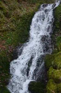 Wasserfall Goutte du Cuisinier in Ventron