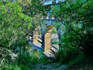 The bridge seen between the vegetation (© JE)