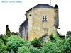 Le vieux château (© Jean Espirat)
