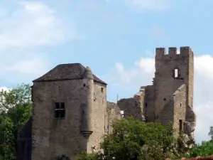 Old Castle before restoration