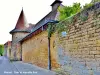 Tour et muraille médiévale Sud (© Jean Espirat)