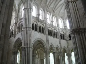 La Basilica di Sainte-Madeleine (© Frantz)