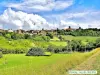 Panorama of the city from the East (© Jean Espirat)