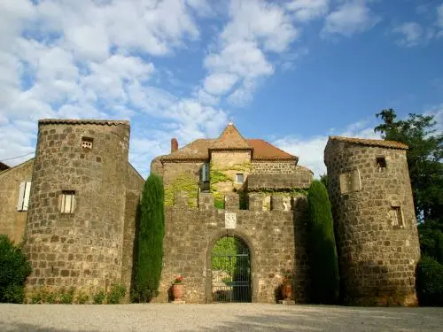 城堡Preignes-le-Vieux - 建筑物在Vias