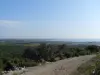 Vic-la-Gardiole - Massif de la Gardiole
