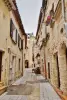Vic-la-Gardiole - Le village