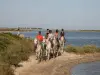 Vic-la-Gardiole - Balade à cheval autour des Aresquiers