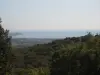 Vic-la-Gardiole - Vue du massif de la Gardiole
