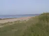 Vicq-sur-Mer - Gouberville, les rochers avec le phare de Gatteville au fond