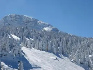 Piste de ski - Côte 2000